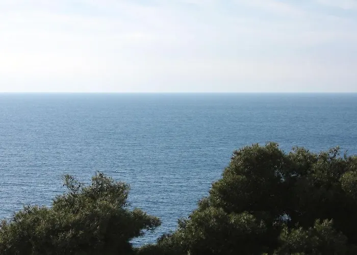 Apartment By The Sea Bilo, Primosten - 4806 *